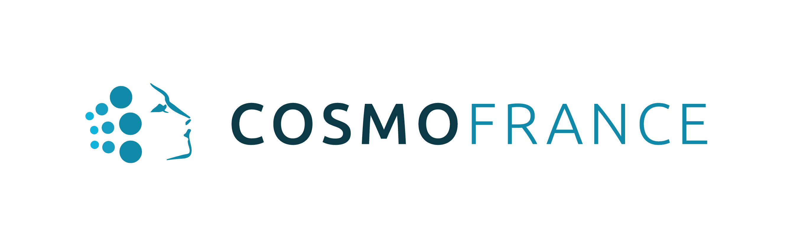 Home 15 cf-logo copy